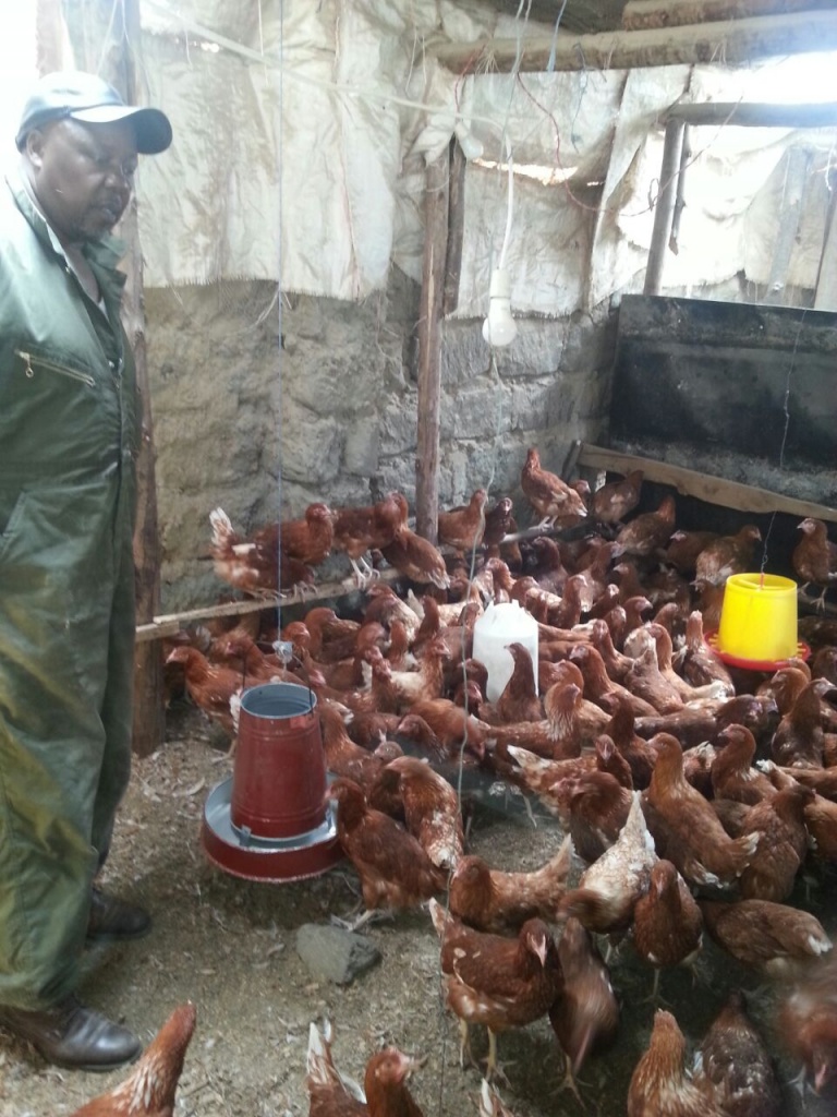 Henry Njuguna-Kingdom Poultry Farm.jpg