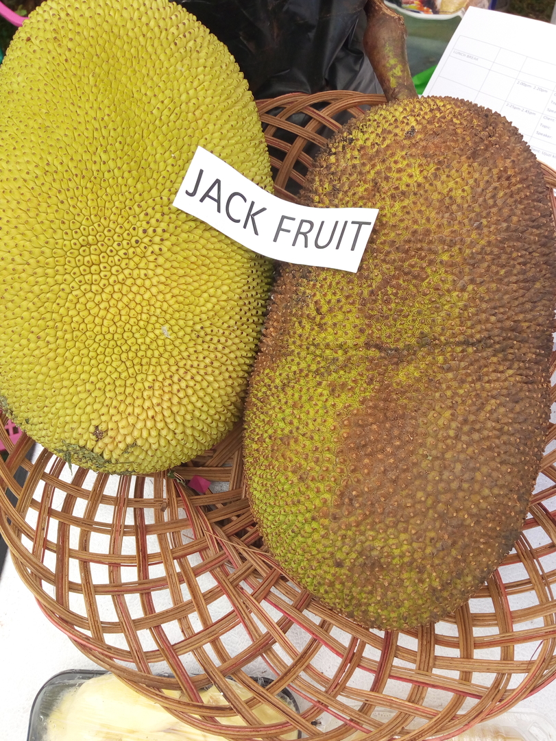 jack fruits