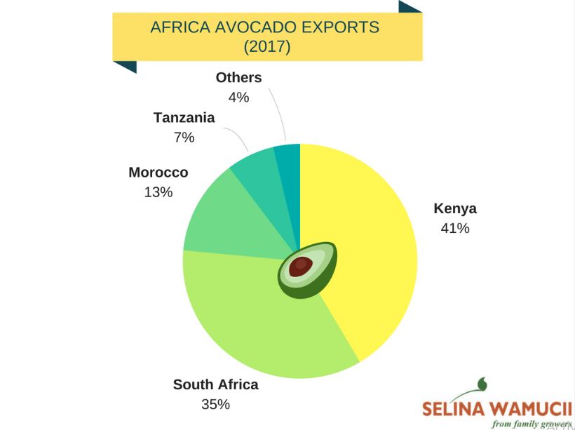 avocado stats africa