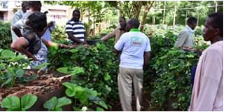 Daniel Gitau training farmers on multi storey gardening