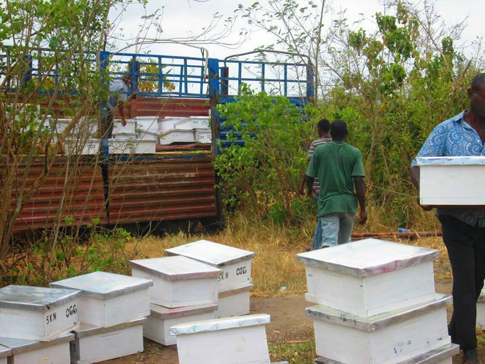 mombasa coast beekeepers beehives suppliers
